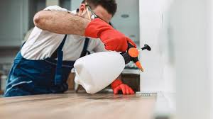 Professional Pest control in Clarkston, WA